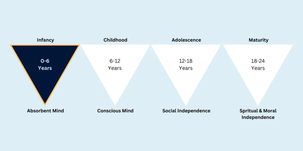 Four planes of child development.
